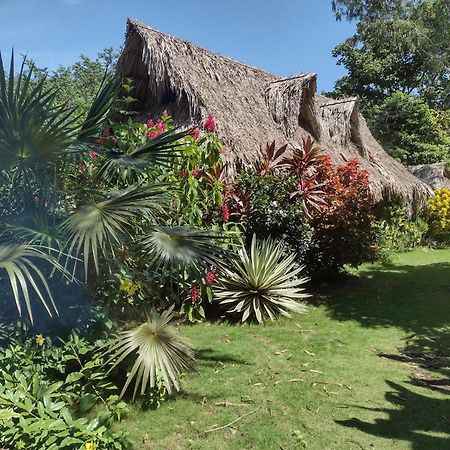 Sexto Sentido Cabanas & Pan Frances Palomino Extérieur photo